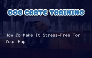 Dog crate training