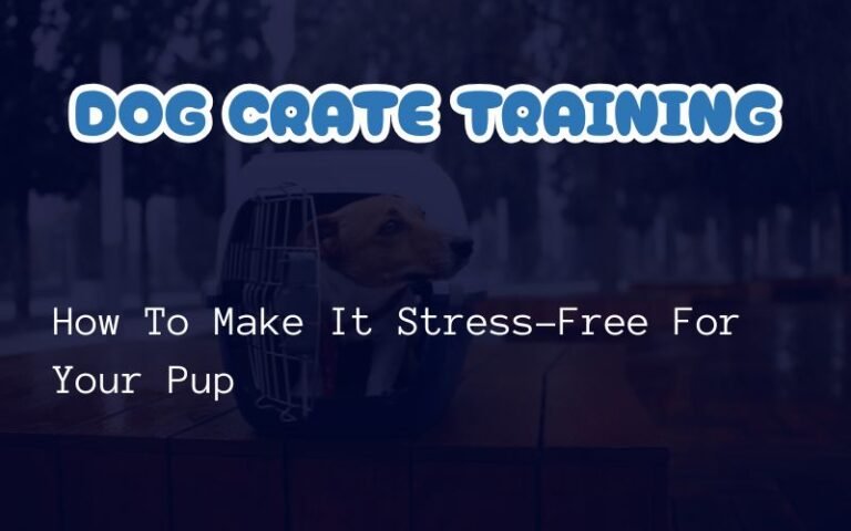 Dog crate training