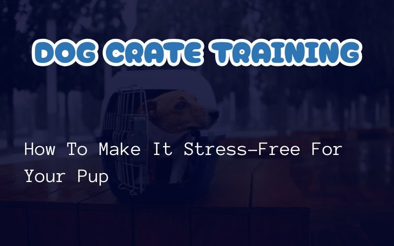 Dog crate training
