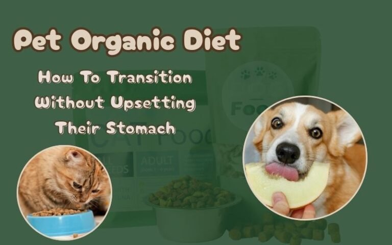 pet organic diet