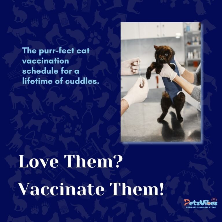 cat vaccination schedule