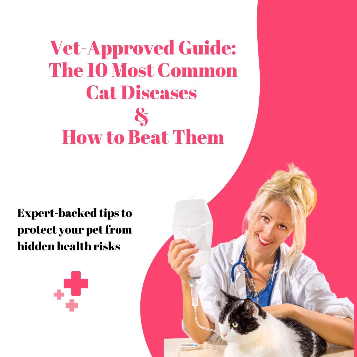 Cat Diseases