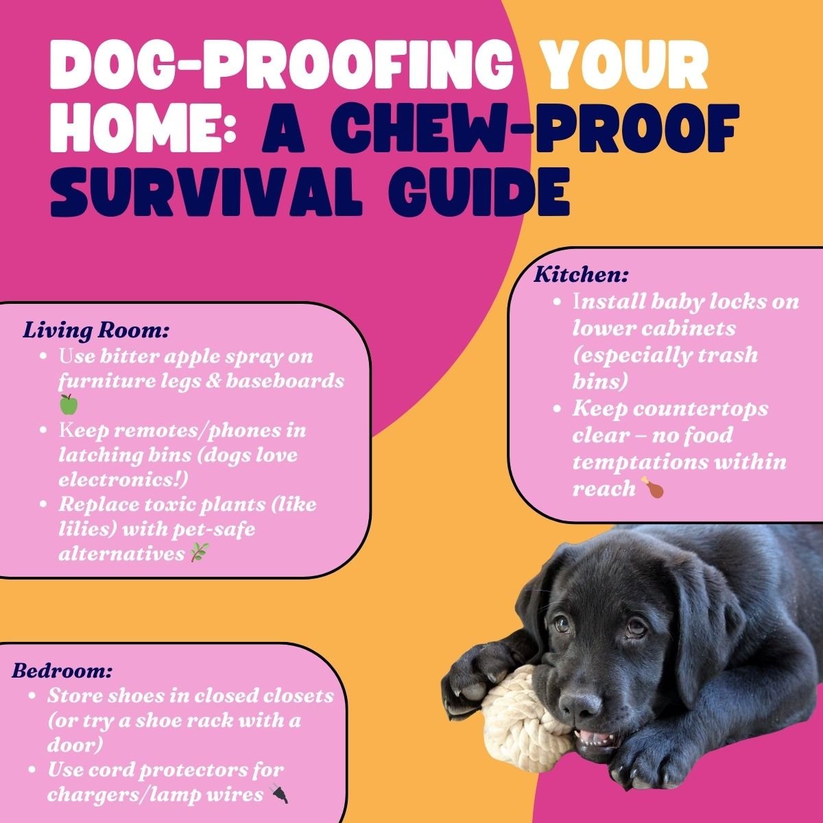 destructive chewing