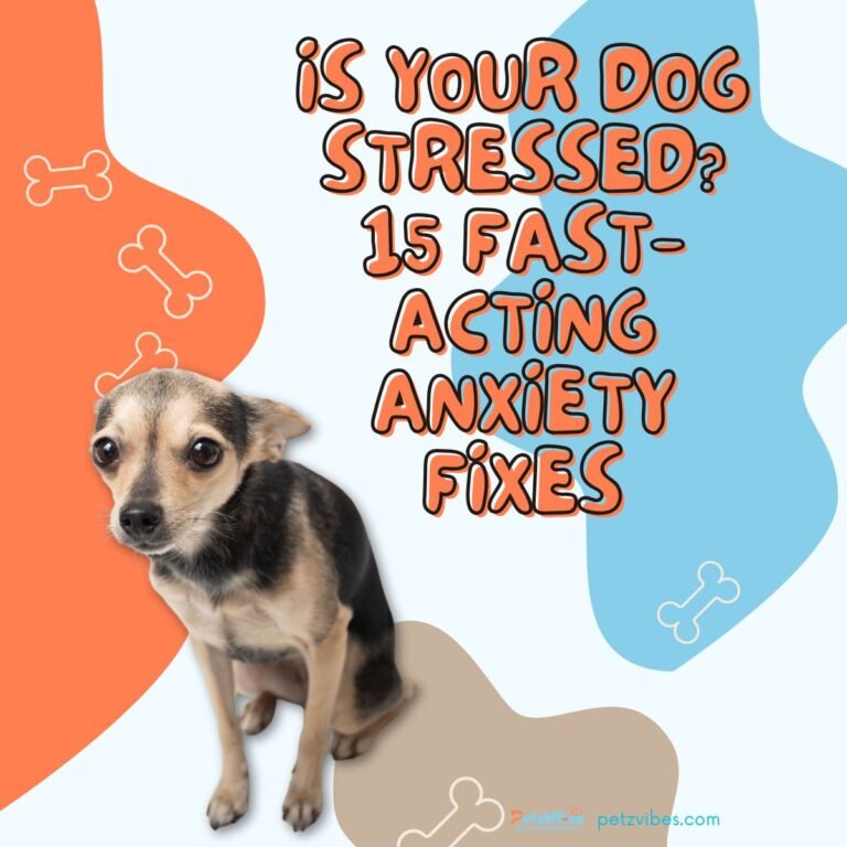 dog health