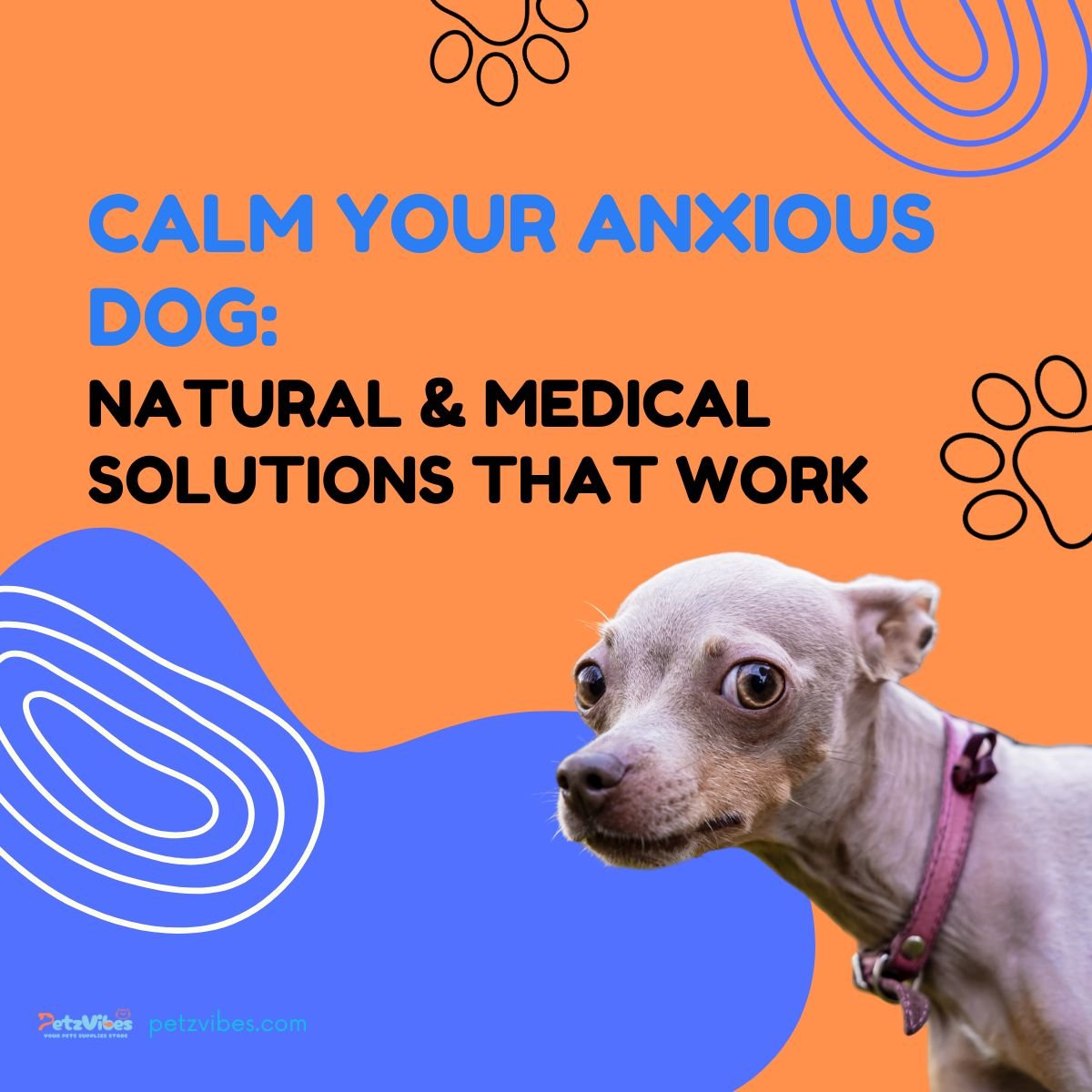 Dog Anxiety Remedies 