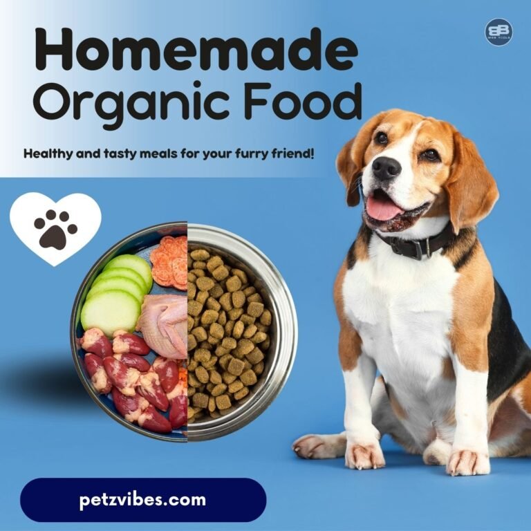 homemade organic food for dogs