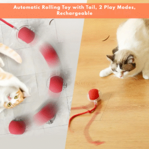interactive cat ball toy