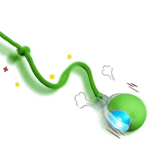 Hunting instinct cat toy