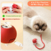 rechargable cat ball toy
