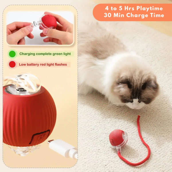 rechargable cat ball toy