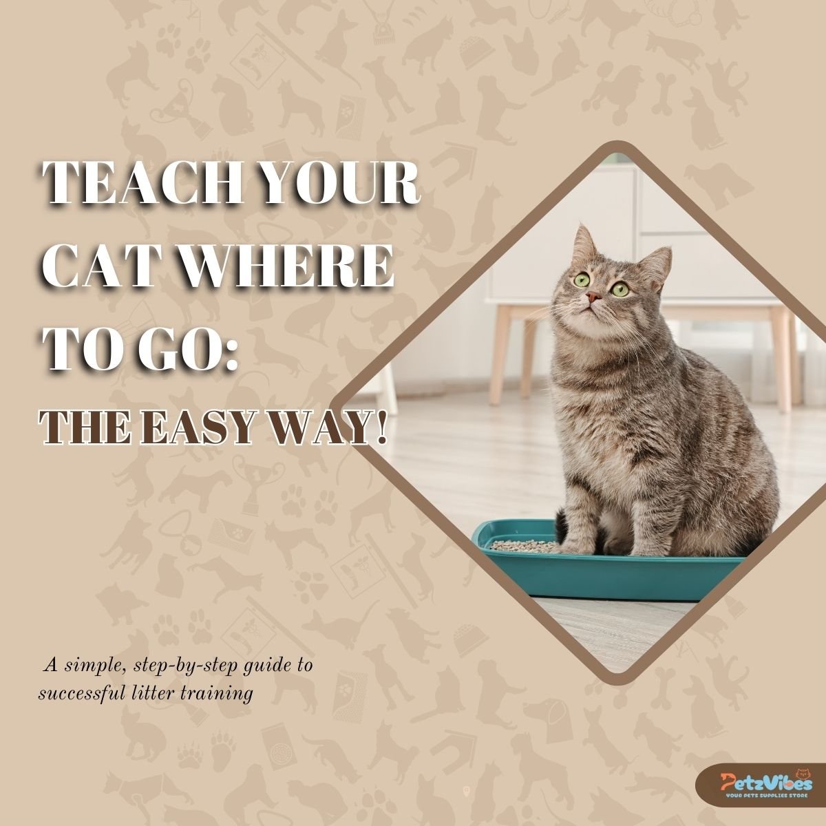 Litter Training For Cats
