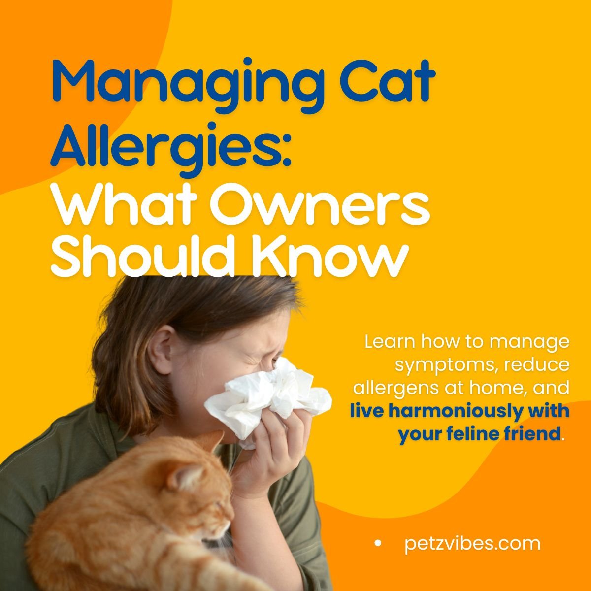 Managing cat allergies