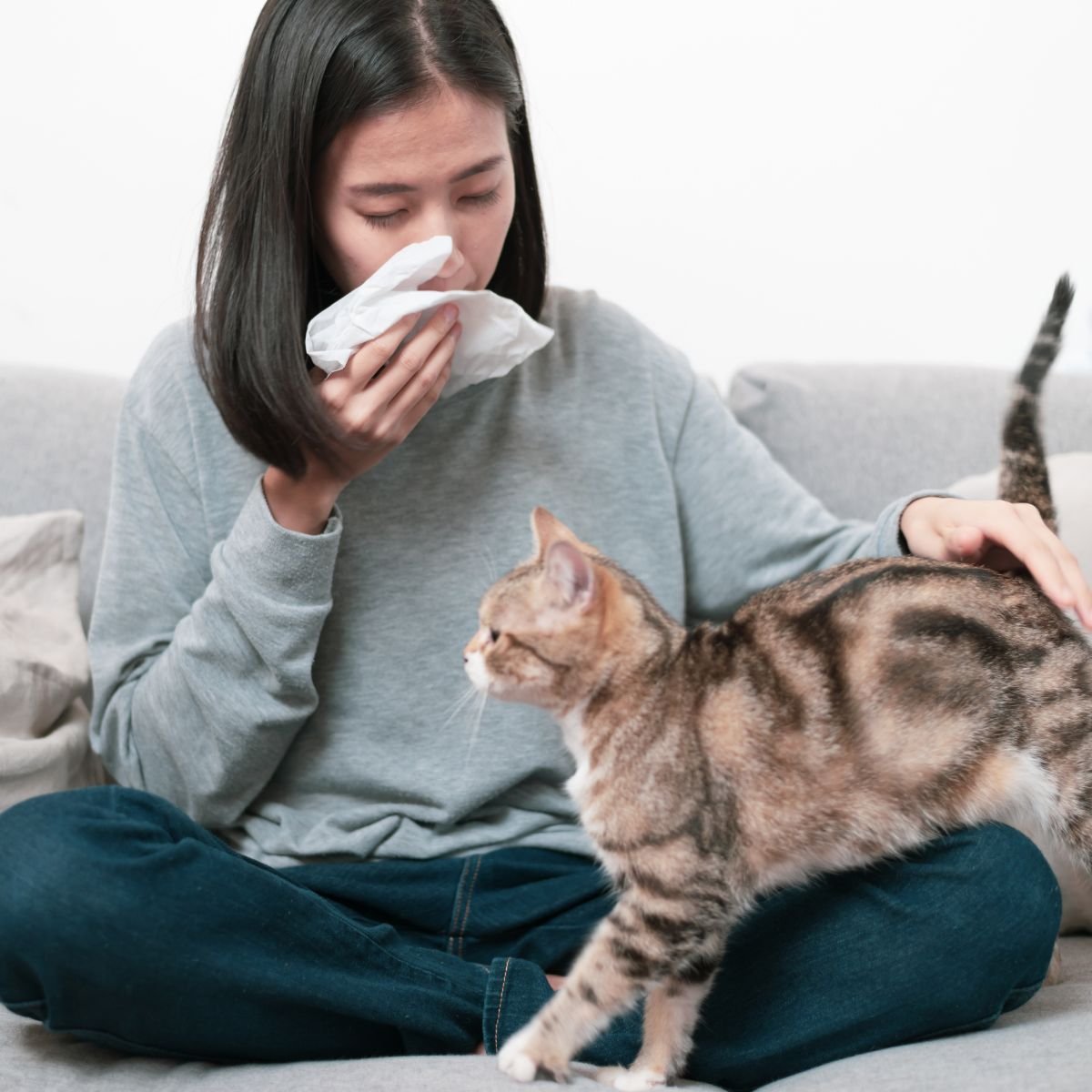 cat allergy