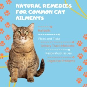 Natural Remedies for common cat Ailments