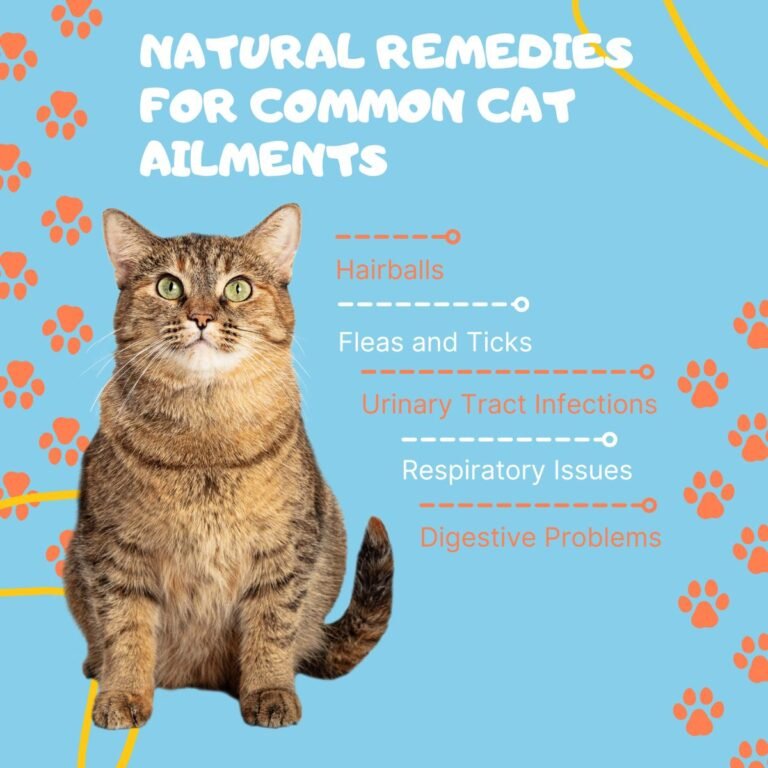 Natural Remedies for common cat Ailments