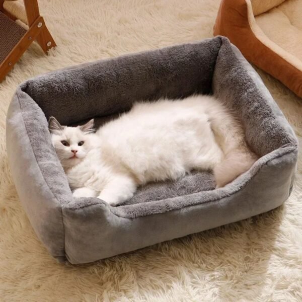 orthopedic cat bed