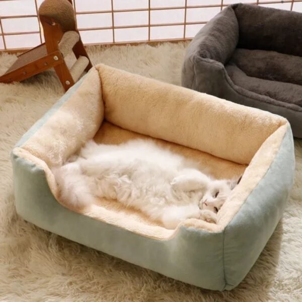 0rthopedic cat bed