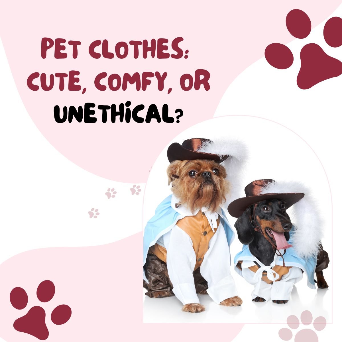 pet clothes