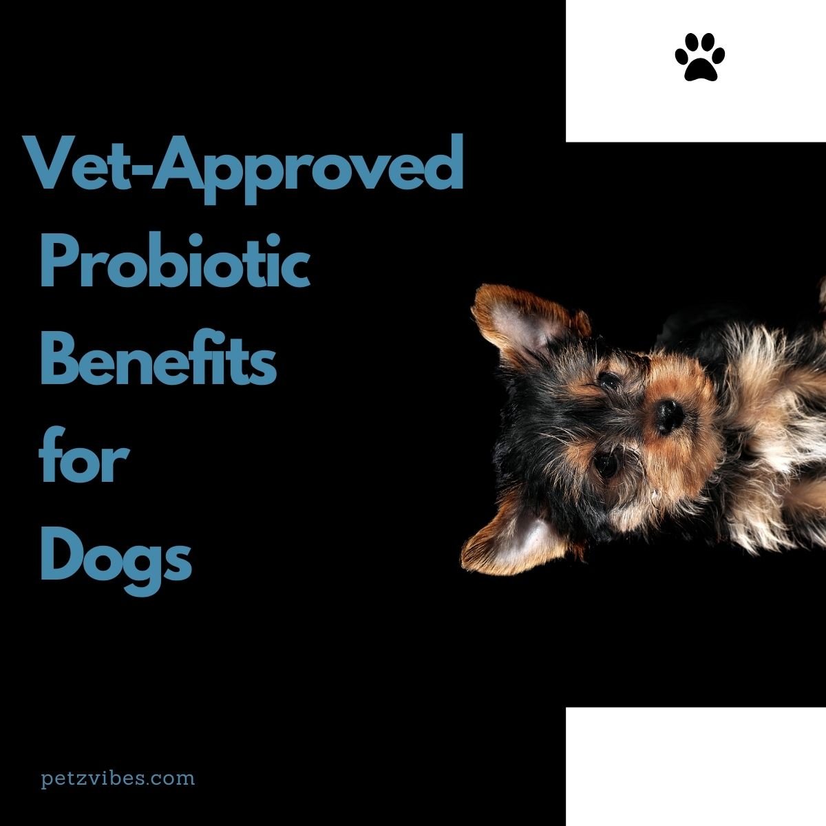 dog probiotics benefits