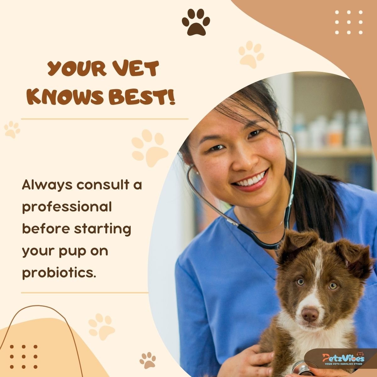 dog gut health