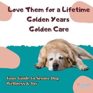Senior dog care