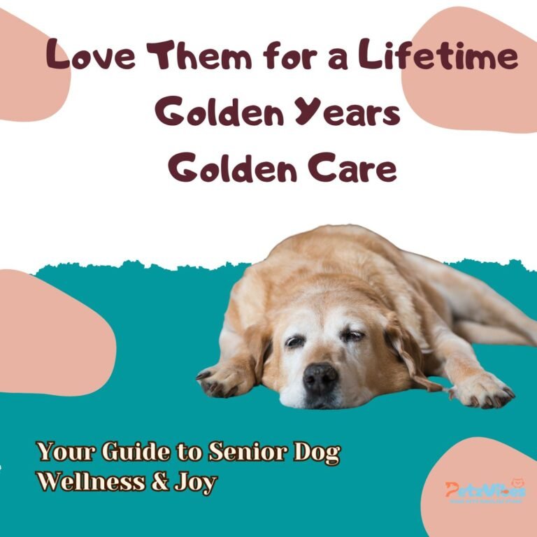Senior dog care