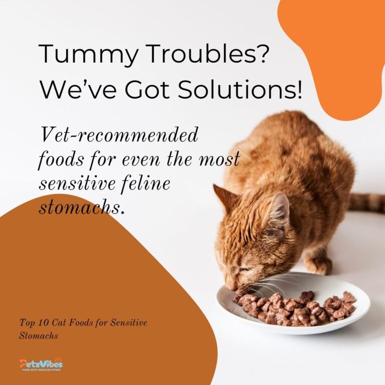 cat foods for sensitive stomachs