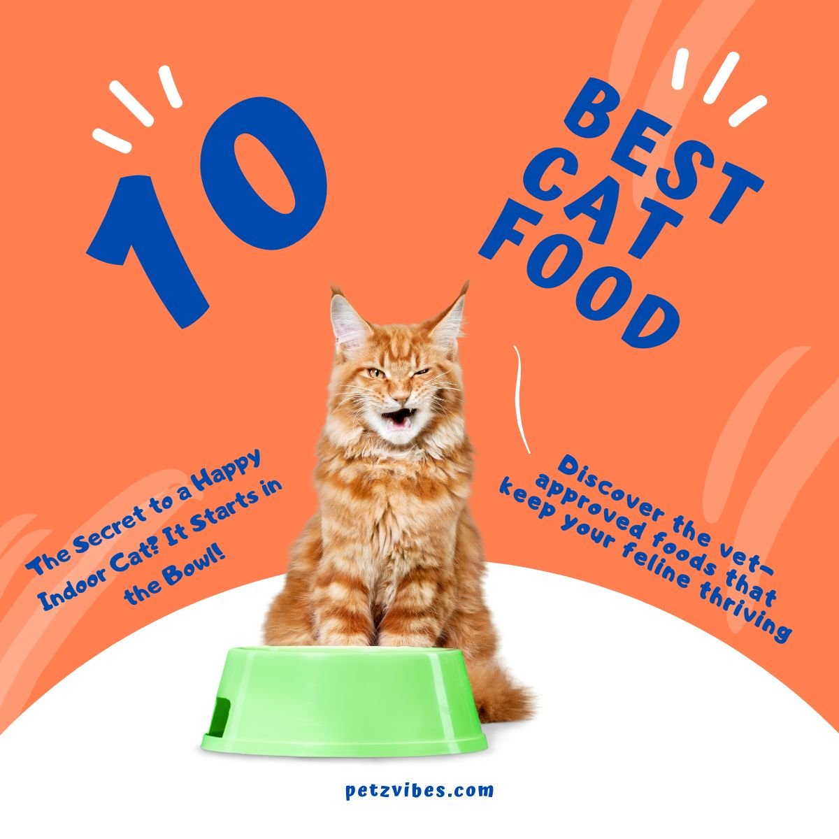 best foods for indoor cats