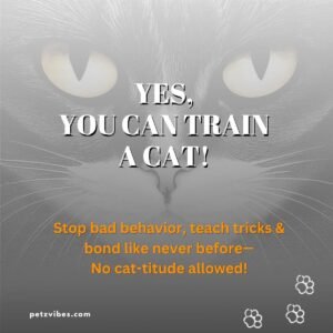 cat training