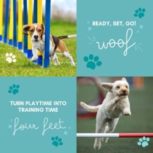 dogs agility program