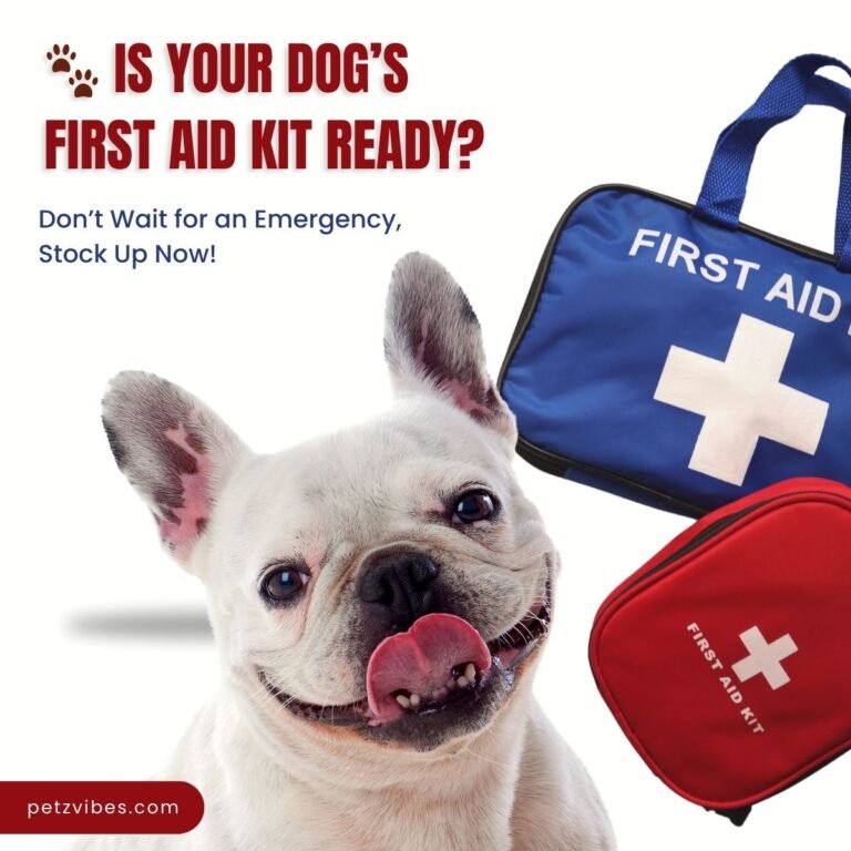 dog first aid kit