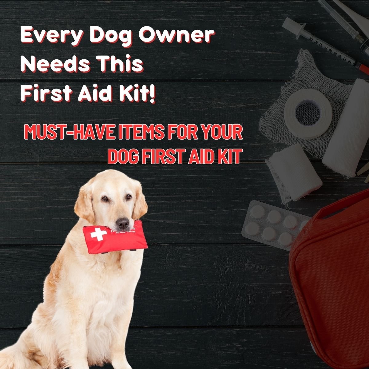 dog health