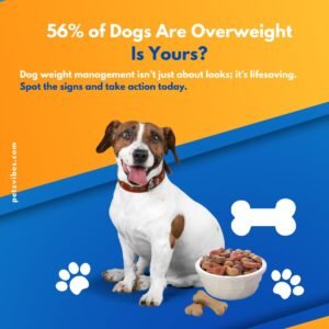 dog weight management
