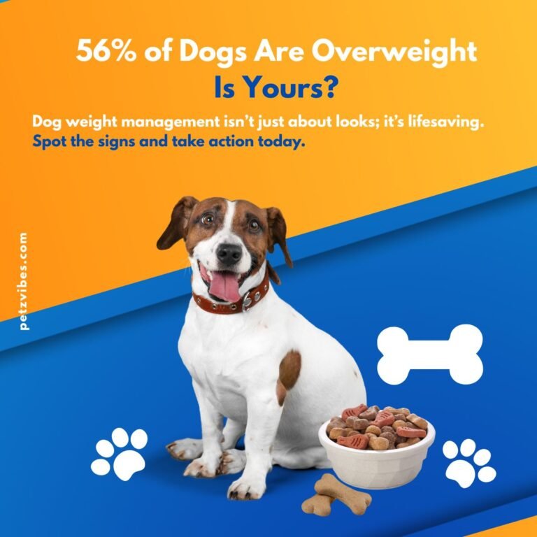 dog weight management