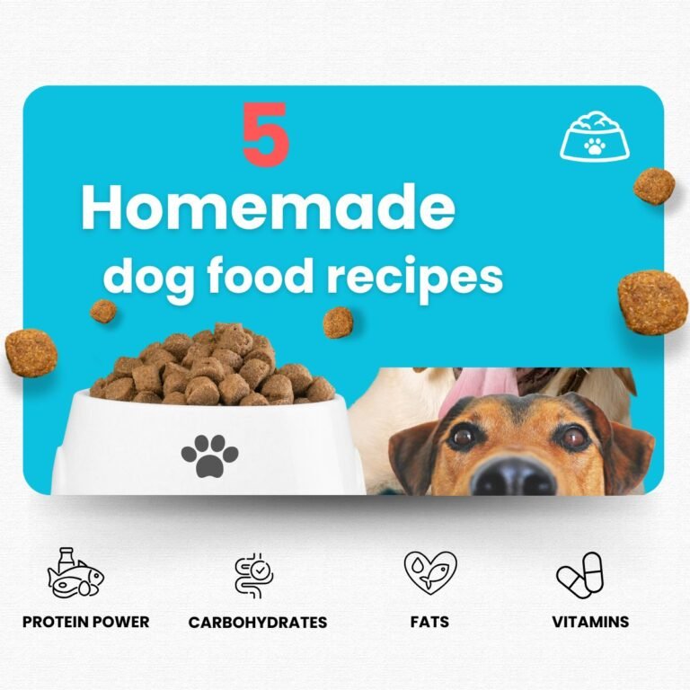 dog food recipes
