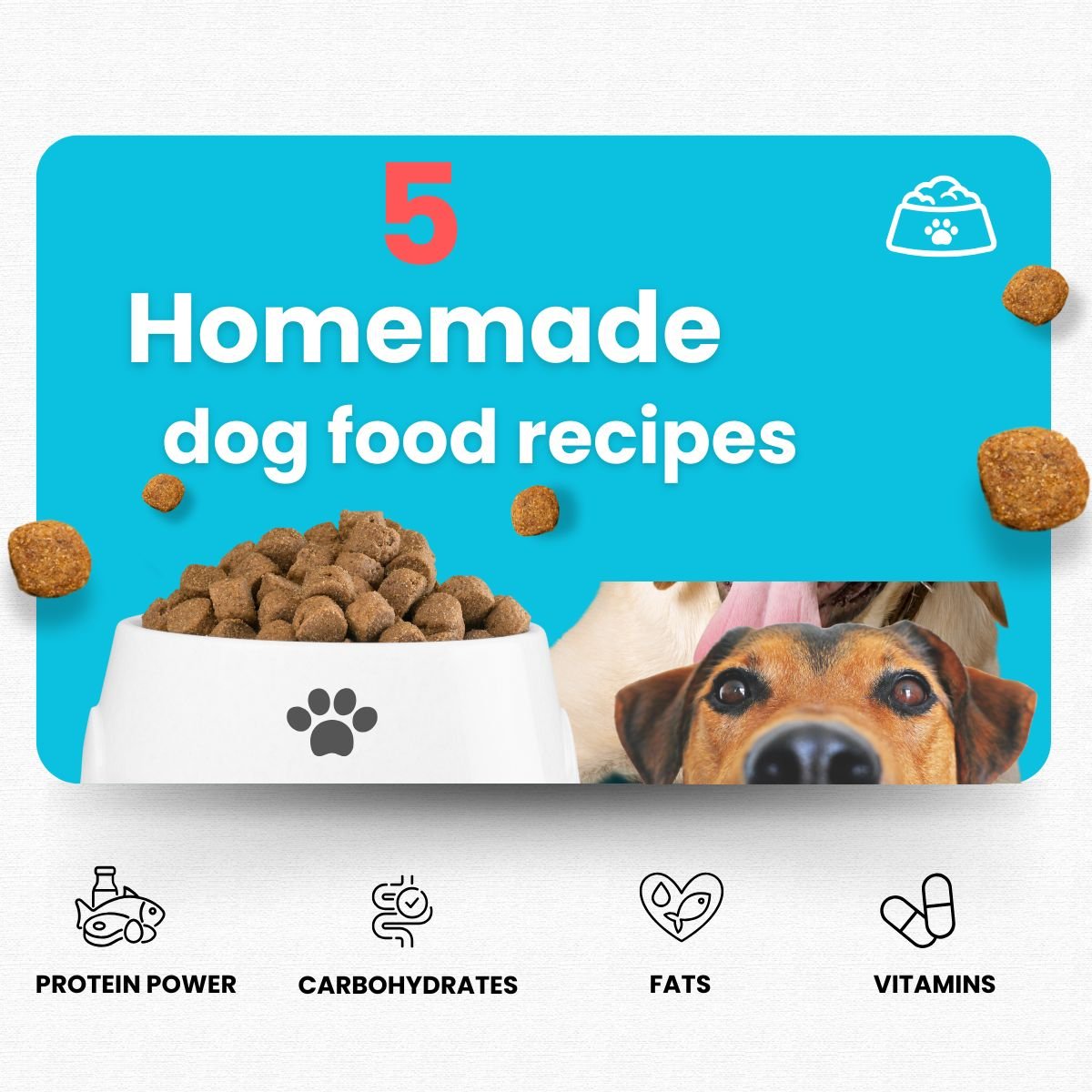 dog food recipes