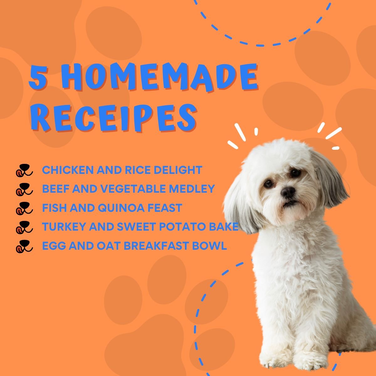 homemade healthy food dogs