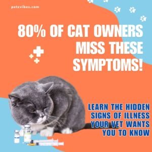 signs of illness in cats