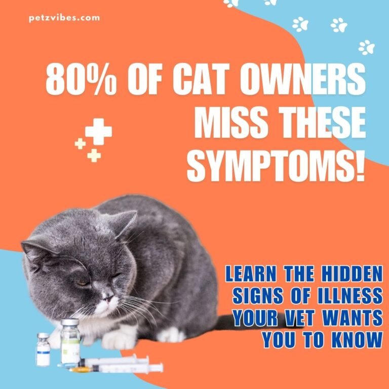 signs of illness in cats