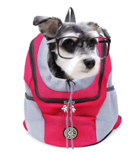 dog travel bag