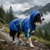 Blue waterproof hooded dog raincoat on a Border Collie hiking a misty mountain trail in heavy rain — Size 3XL, 28–48 lbs, reflective strips visible and leash attached through back hole