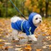 Blue waterproof hooded dog raincoat on a white Maltese trotting along an autumn park path in the rain — Size M, 4–6 lbs, reflective strips and back leash hole