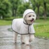 Transparent dog raincoat size L on Toy Poodle — PetzVibes Size L transparent dog raincoat on a white Toy Poodle trotting in the rain, frosted TPU cape, black piping, soft unstructured hood