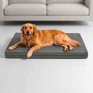 Labrador dog lying comfortably on a gray orthopedic egg crate foam dog bed