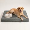 orthopedic dog bed