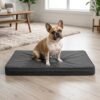 orthopedic dog bed French Bulldog sitting on orthopedic gray foam dog bed