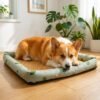 petzvibes-natural-rattan-cooling-pet-bed-mat-size-l-corgi-avocado-print-lifestyle.jpg Corgi dog resting in sphinx position on the PetzVibes Size L Natural Rattan Cooling Pet Bed Mat in Avocado Print on light oak flooring in a bright family home