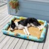 Border Collie stretched out and deeply asleep on the PetzVibes Size XL Breathable Rattan Pet Cooling Mat in Tropical Fish Print on a sun-bleached coastal timber deck