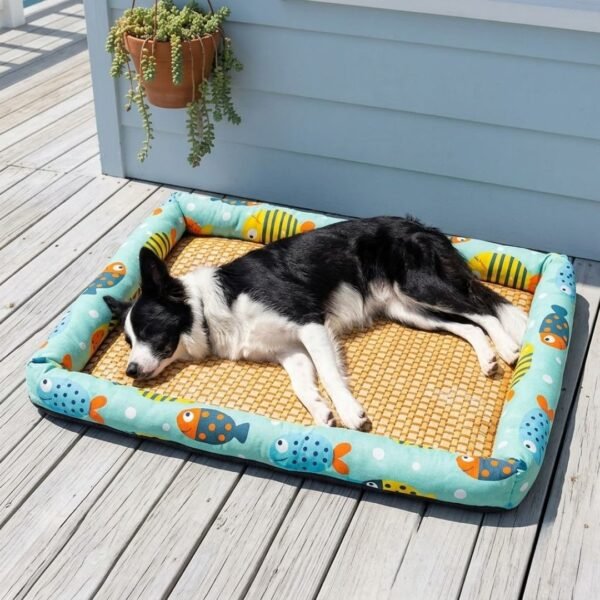 Border Collie stretched out and deeply asleep on the PetzVibes Size XL Breathable Rattan Pet Cooling Mat in Tropical Fish Print on a sun-bleached coastal timber deck