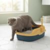 Semi-Enclosed Cat Litter Box with Scoop lifestyle image 2 Semi-Enclosed Cat Litter Box with Scoop lifestyle image 2